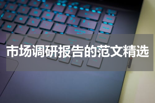 市场调研报告的范文精选