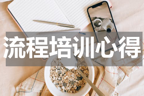 流程培训心得