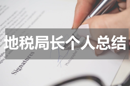地税局长个人总结