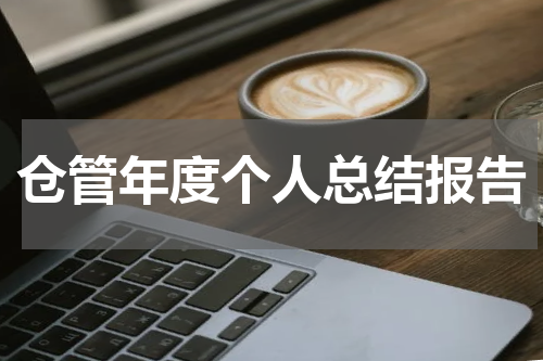 仓管年度个人总结报告