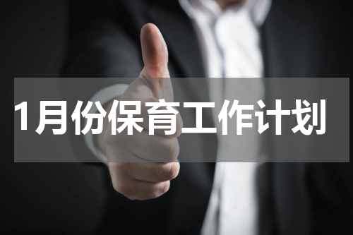 1月份保育工作计划