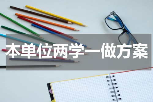 本单位两学一做方案
