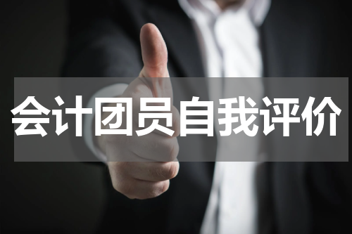会计团员自我评价
