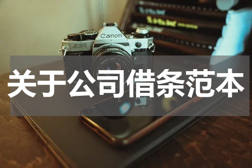 关于公司借条范本