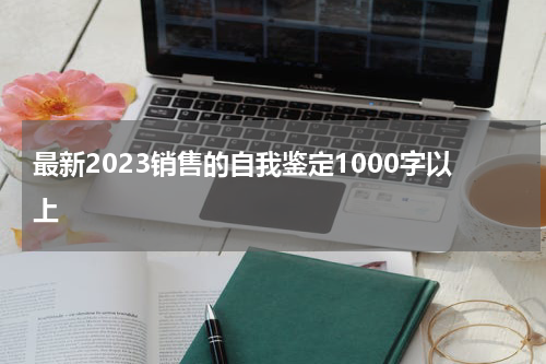 最新2023销售的自我鉴定1000字以上