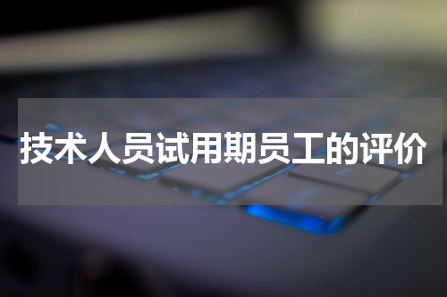 技术人员试用期员工的评价