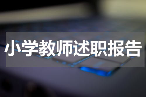 小学教师述职报告