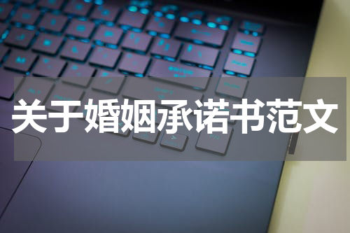 关于婚姻承诺书范文
