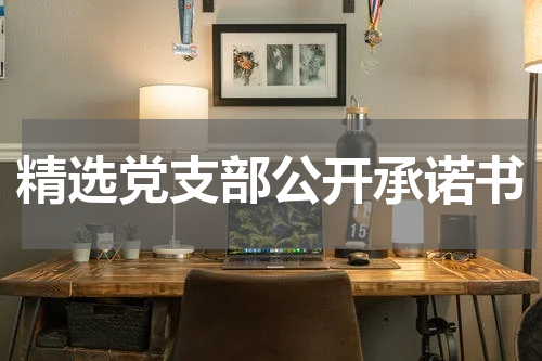 精选党支部公开承诺书