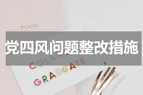 党四风问题整改措施