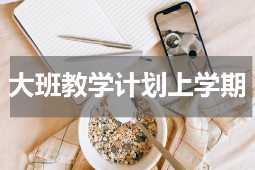 大班教学计划上学期