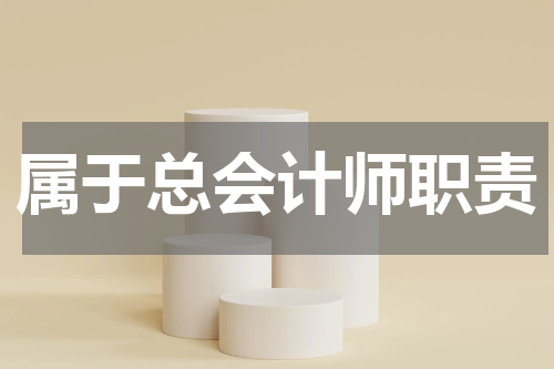 属于总会计师职责