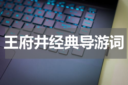 王府井经典导游词