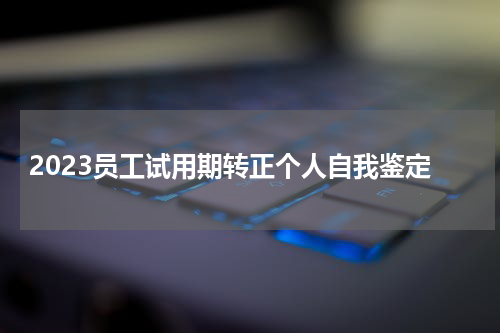 2023员工试用期转正个人自我鉴定