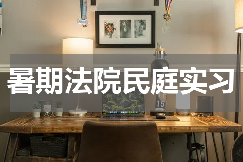 暑期法院民庭实习