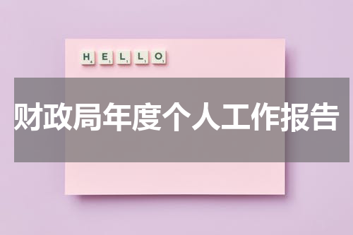 财政局年度个人工作报告