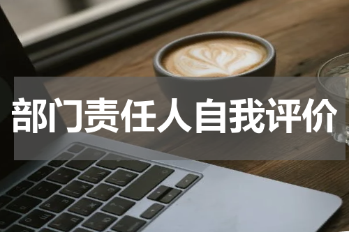 部门责任人自我评价