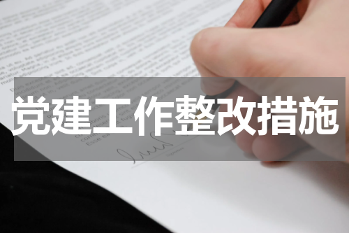 党建工作整改措施
