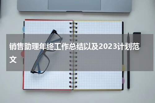 销售助理年终工作总结以及2023计划范文