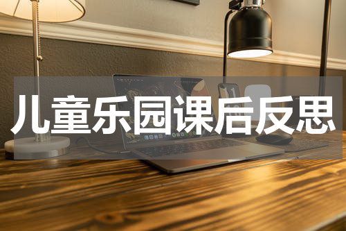 儿童乐园课后反思