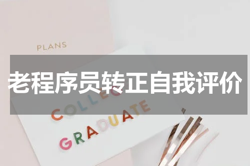 老程序员转正自我评价