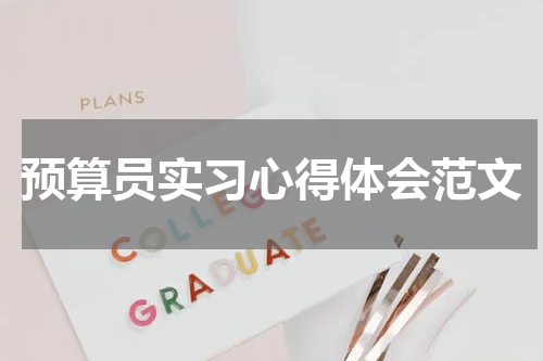 预算员实习心得体会范文