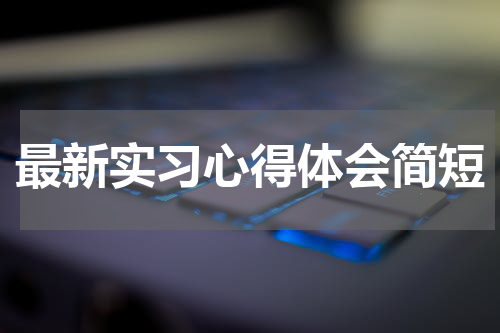 最新实习心得体会简短