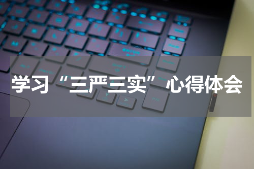 学习“三严三实”心得体会