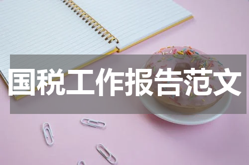 国税工作报告范文