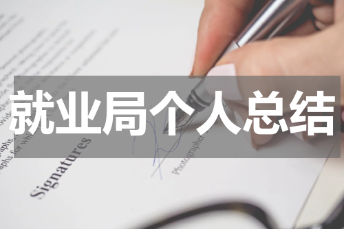 就业局个人总结