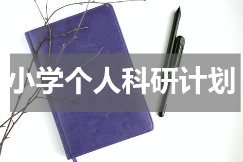小学个人科研计划