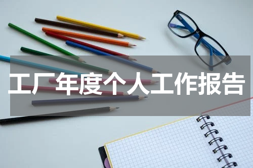 工厂年度个人工作报告
