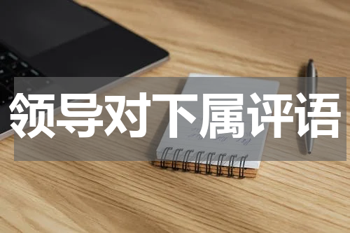 领导对下属评语