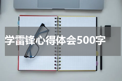 学雷锋心得体会500字