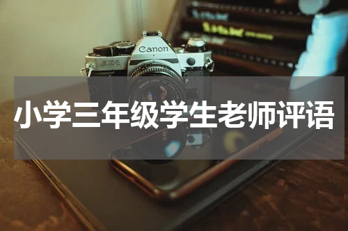 小学三年级学生老师评语