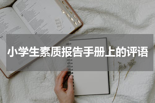 小学生素质报告手册上的评语