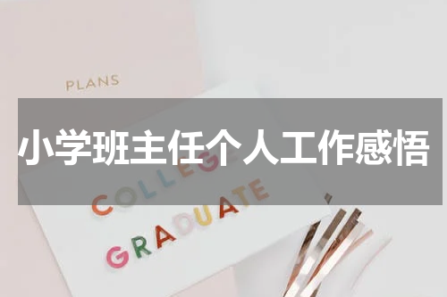 小学班主任个人工作感悟
