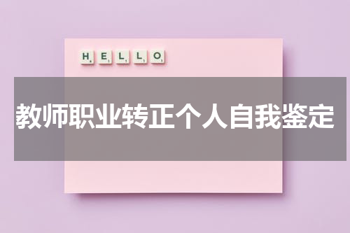 教师职业转正个人自我鉴定