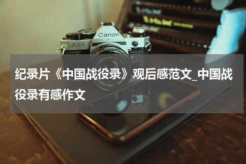 纪录片《中国战役录》观后感范文_中国战役录有感作文