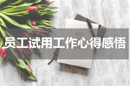 员工试用工作心得感悟