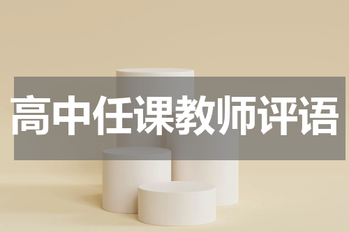 高中任课教师评语