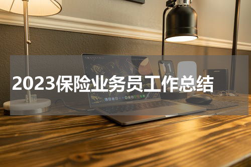 2023保险业务员工作总结
