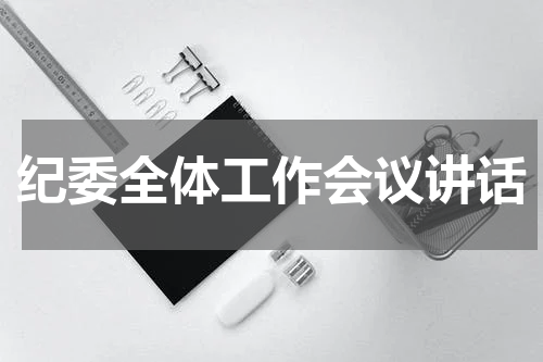 纪委全体工作会议讲话