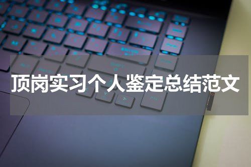 顶岗实习个人鉴定总结范文
