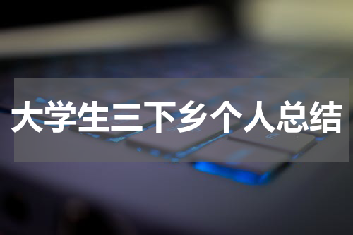 大学生三下乡个人总结