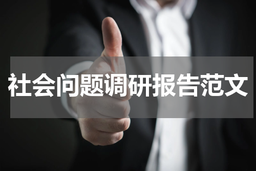 社会问题调研报告范文