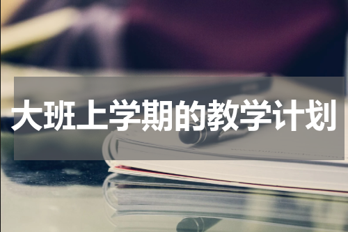 大班上学期的教学计划