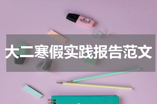大二寒假实践报告范文