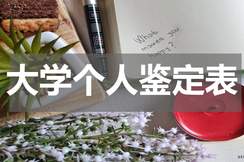 大学个人鉴定表