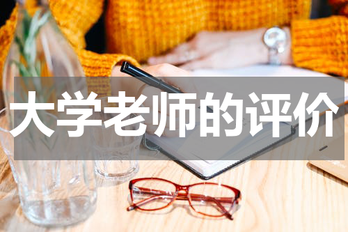 大学老师的评价
